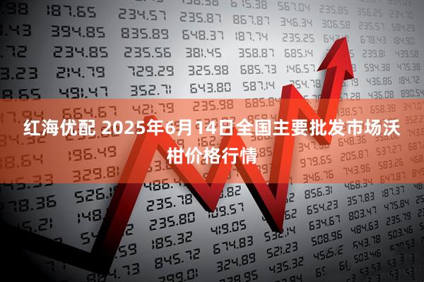 红海优配 2025年6月14日全国主要批发市场沃柑价格行情