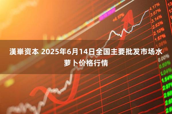漢崋资本 2025年6月14日全国主要批发市场水萝卜价格行情