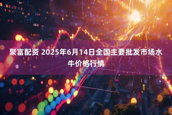 聚富配资 2025年6月14日全国主要批发市场水牛价格行情