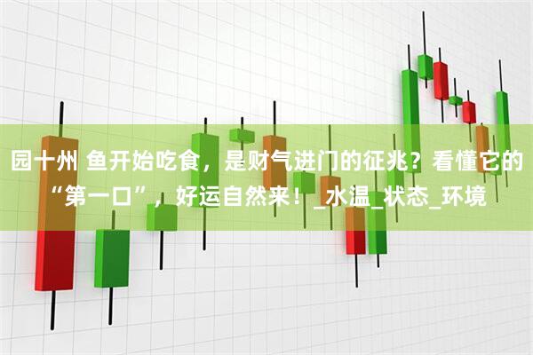 园十州 鱼开始吃食，是财气进门的征兆？看懂它的“第一口”，好运自然来！_水温_状态_环境