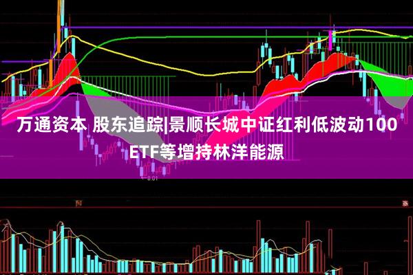 万通资本 股东追踪|景顺长城中证红利低波动100ETF等增持林洋能源