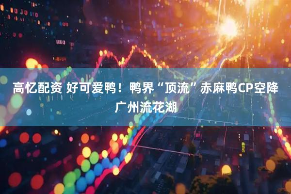 高忆配资 好可爱鸭！鸭界“顶流”赤麻鸭CP空降广州流花湖