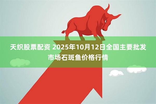 天织股票配资 2025年10月12日全国主要批发市场石斑鱼价格行情